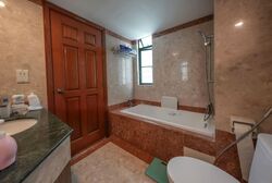 The Springbloom (D19), Condominium #556478781